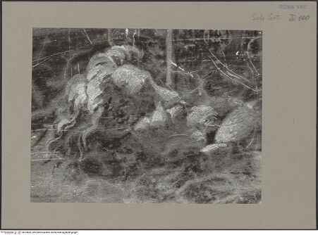 Vorderseite von bh109683_recto