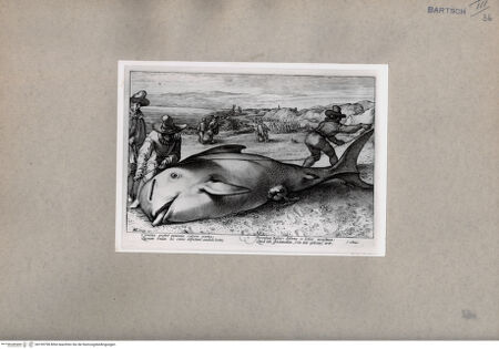 Vorderseite von British Museum [https://www.deutsche-digitale-bibliothek.de/content/lizenzen/rv-ez/] Abmessen eines erlegten Wals - , bh109798. Foto.