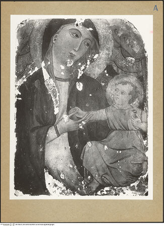 Vorderseite von bh109839_recto