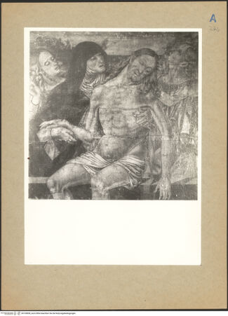 Vorderseite von bh109858_recto