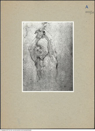 Vorderseite von bh110031_recto