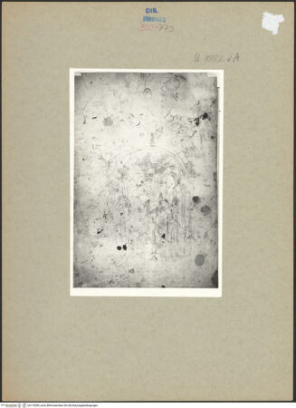 Vorderseite von bh110049_recto