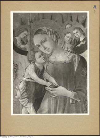 Vorderseite von bh110177_recto