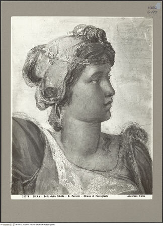 Vorderseite von bh110183_recto