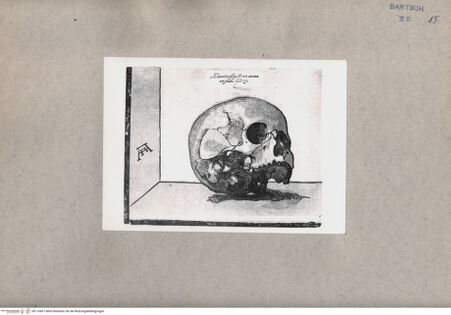 Vorderseite von British Museum [https://www.deutsche-digitale-bibliothek.de/content/lizenzen/rv-ez/] Totenschädel - , bh110837. Foto.