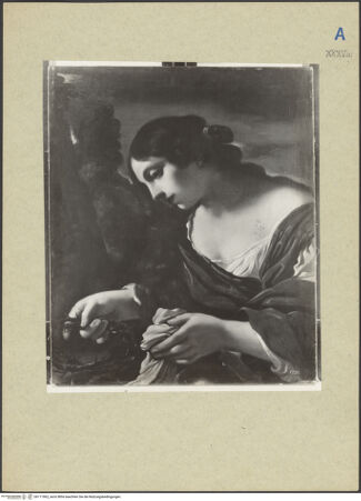 Vorderseite von bh111062_recto