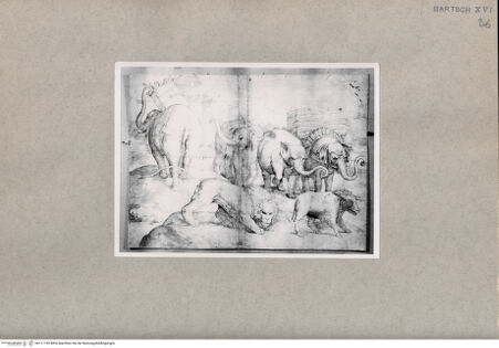 Vorderseite von British Museum [https://www.deutsche-digitale-bibliothek.de/content/lizenzen/rv-ez/] Vier Elefanten, ein Löwe und ein Wildschwein - , bh111195. Foto.