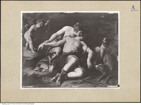 Vorderseite von bh111285_recto