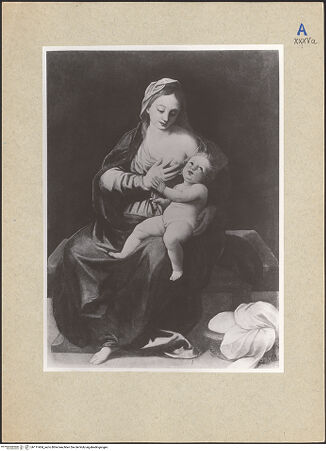 Vorderseite von bh111404_recto