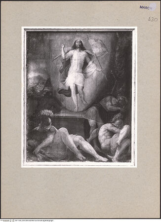 Vorderseite von bh111956_recto