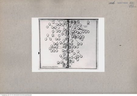 Vorderseite von British Museum [https://www.deutsche-digitale-bibliothek.de/content/lizenzen/rv-ez/] Ahnentafel - , bh112512. Foto.