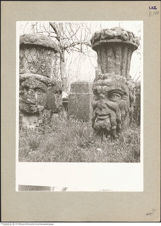 Vorderseite von bh113096_recto