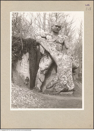 Vorderseite von bh113098_recto