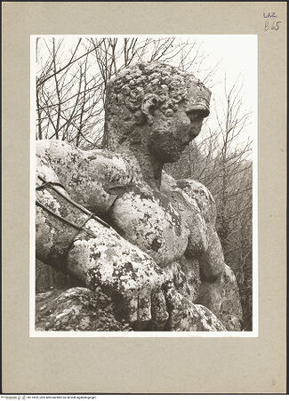 Vorderseite von bh113099_recto