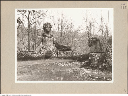 Vorderseite von bh113100_recto