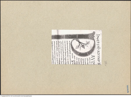 Vorderseite von bh113567_recto