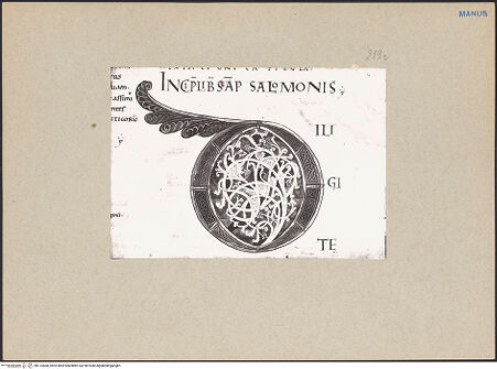 Vorderseite von bh113568_recto