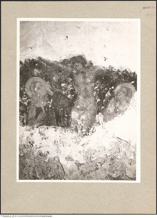 Vorderseite von bh113749_recto