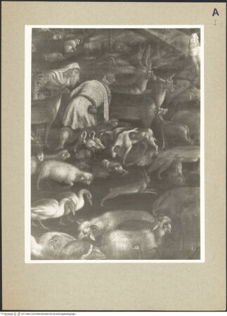 Vorderseite von bh113863_recto