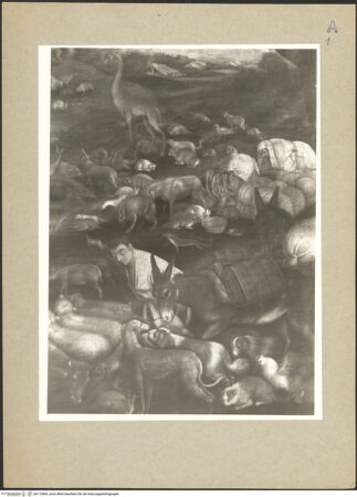 Vorderseite von bh113864_recto