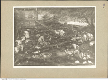 Vorderseite von bh113865_recto