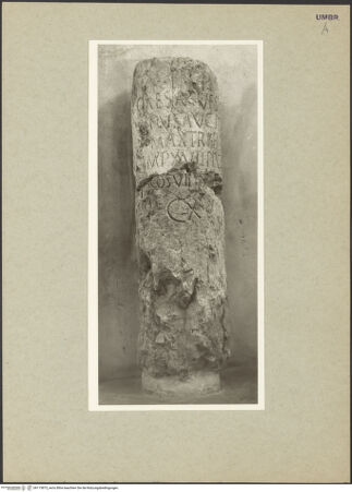 Vorderseite von bh113875_recto