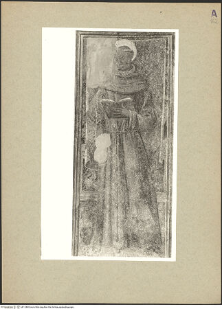 Vorderseite von bh113885_recto