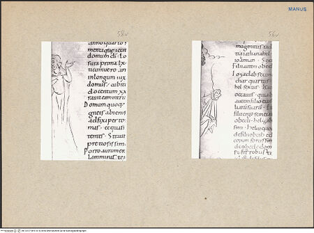 Vorderseite von bh114117_bh114118_recto