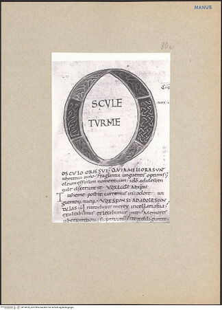 Vorderseite von bh114169_recto