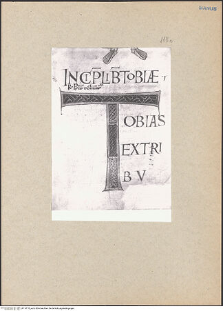 Vorderseite von bh114178_recto