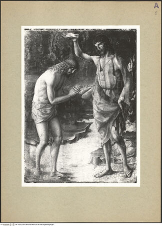 Vorderseite von bh114236_recto