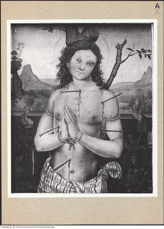 Vorderseite von bh114244_recto