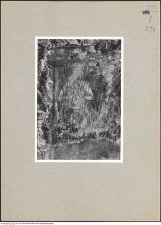 Vorderseite von Bibliotheca Hertziana [https://www.deutsche-digitale-bibliothek.de/content/lizenzen/rv-fz/] VotivfreskenHeilige und Szene der Silvesterlegende - Detail: Der heilige Onuphrius, bh114314_recto. Foto.