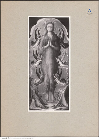 Vorderseite von bh114374_recto