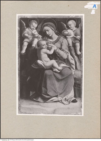 Vorderseite von bh114428_recto