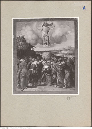 Vorderseite von bh114586_recto