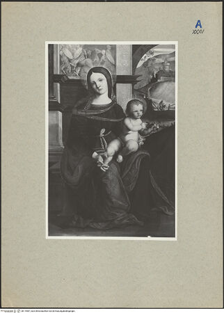 Vorderseite von bh114587_recto