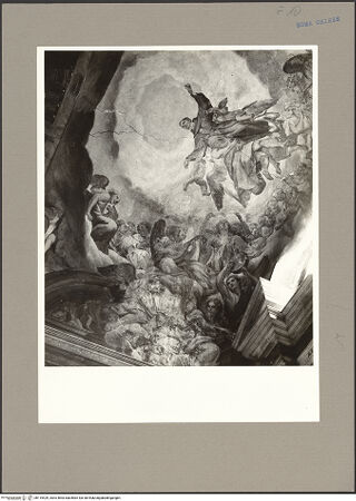 Vorderseite von Hutzel, Max [https://www.deutsche-digitale-bibliothek.de/content/lizenzen/rv-ez/] Apotheose des heiligen Nikolaus von Tolentino - Teilansicht links, bh115429_recto. Foto: Hutzel, Max.