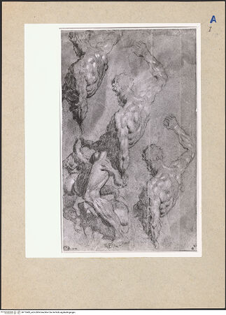 Vorderseite von bh115485_recto