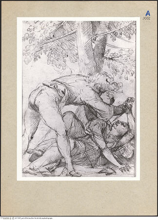 Vorderseite von bh115491_recto