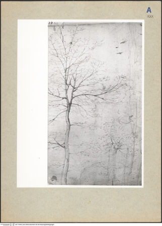 Vorderseite von bh115544_recto