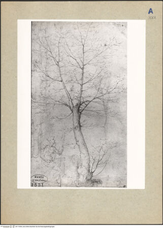 Vorderseite von bh115546_recto