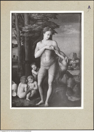 Vorderseite von bh115564_recto