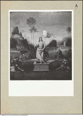 Vorderseite von bh115586_recto