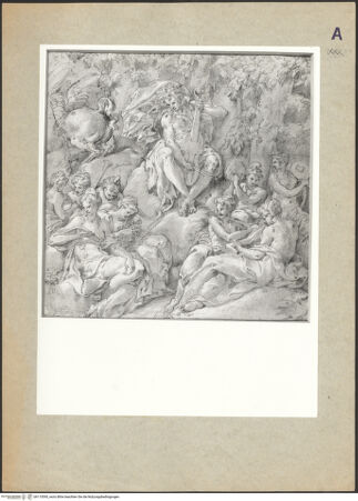 Vorderseite von bh115595_recto