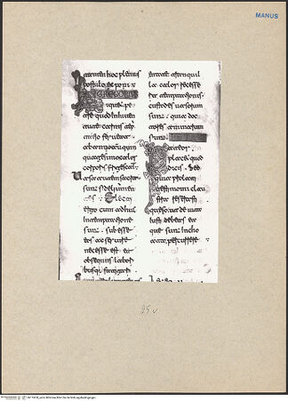 Vorderseite von bh115620_recto