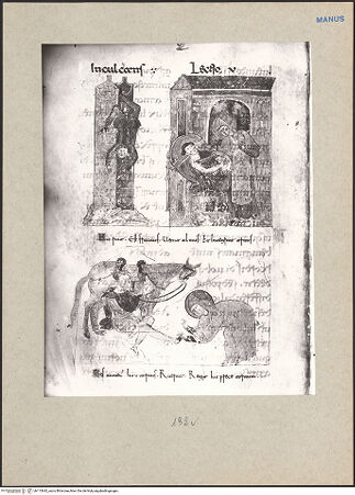 Vorderseite von bh115642_recto