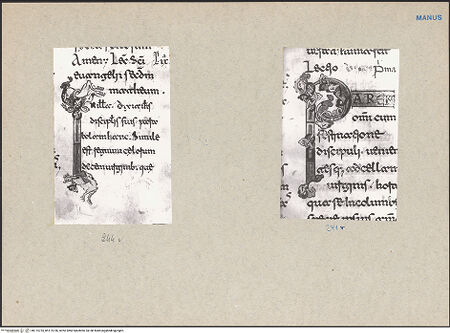 Vorderseite von bh115735_bh115736_recto