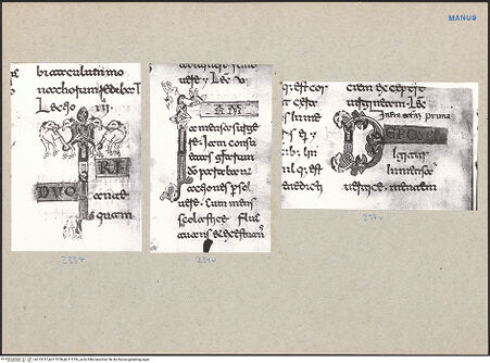 Vorderseite von bh115737_bh115738_bh115739_recto