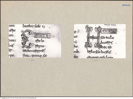 Vorderseite von bh115761_bh115762_recto